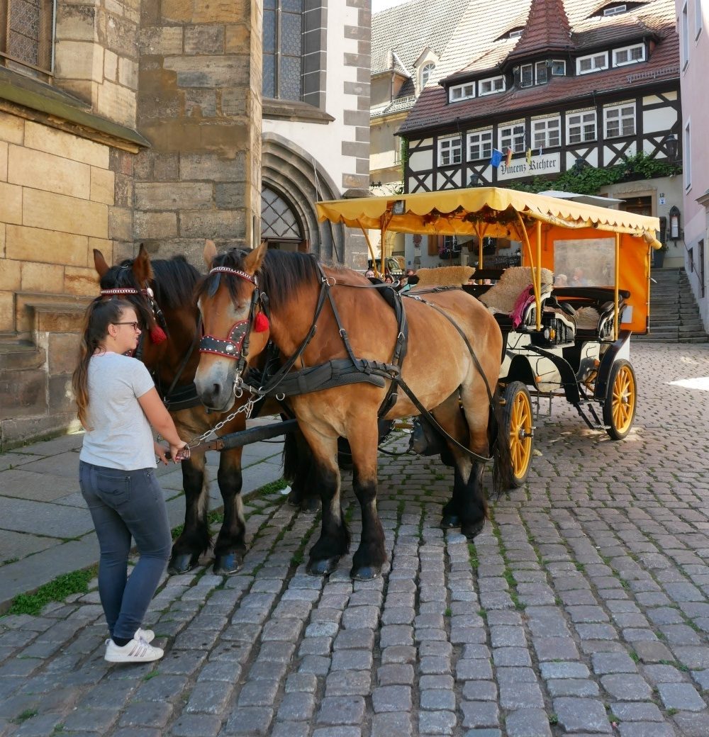 Horse and carriage in Meissen in Saxony, Germany Photo Heatheronhertravels.com