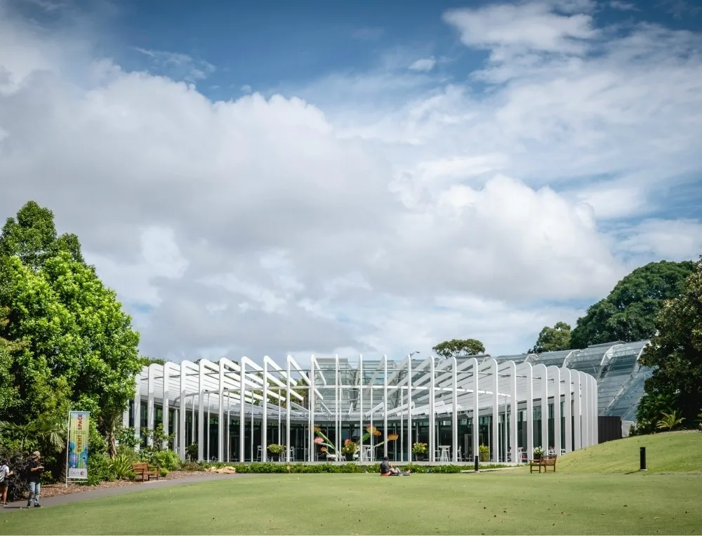 Sydney Botanic Garden Ethan Lee on Unsplash
