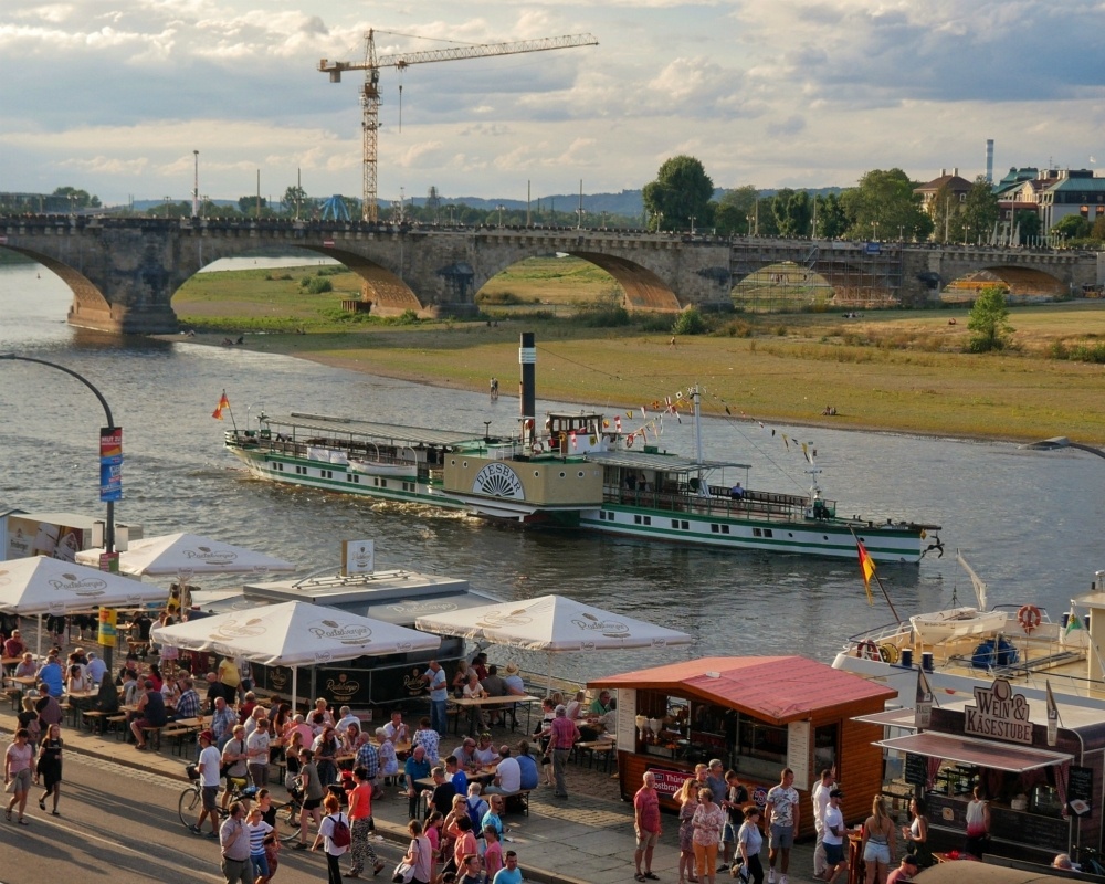 Dresden Paddle Steamers at the Canaletto Festival