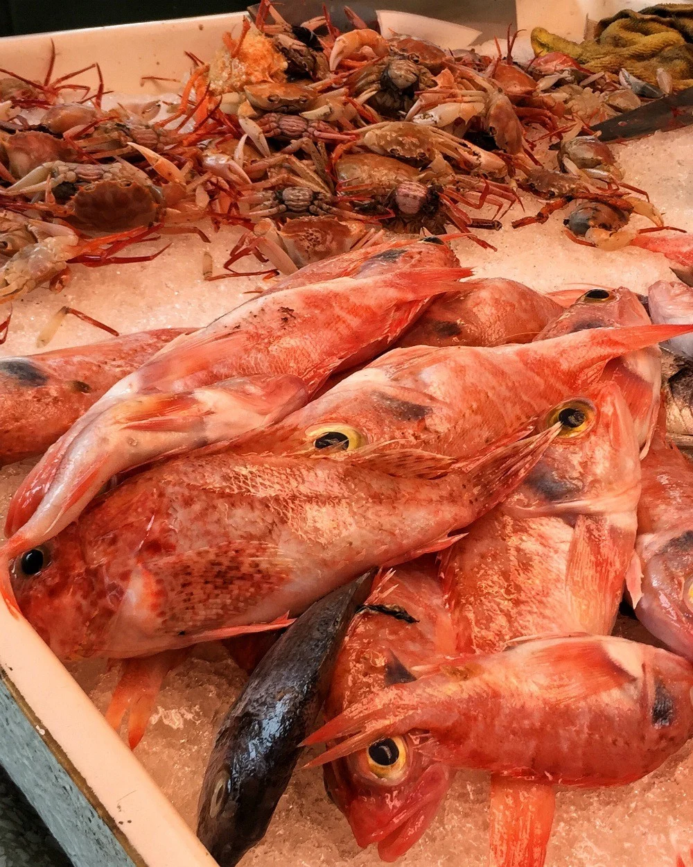 Fishmarket in Menorca Photo Heatheronhertravels.com