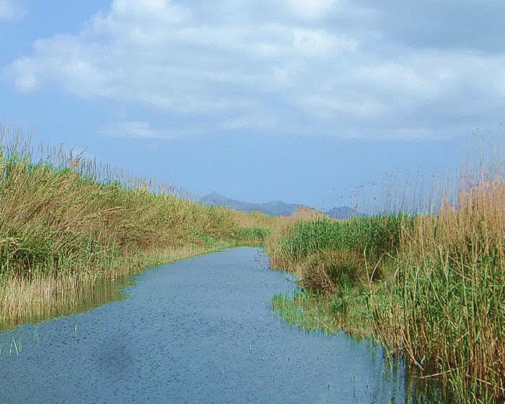 s'Albufera natural park in Mallorca