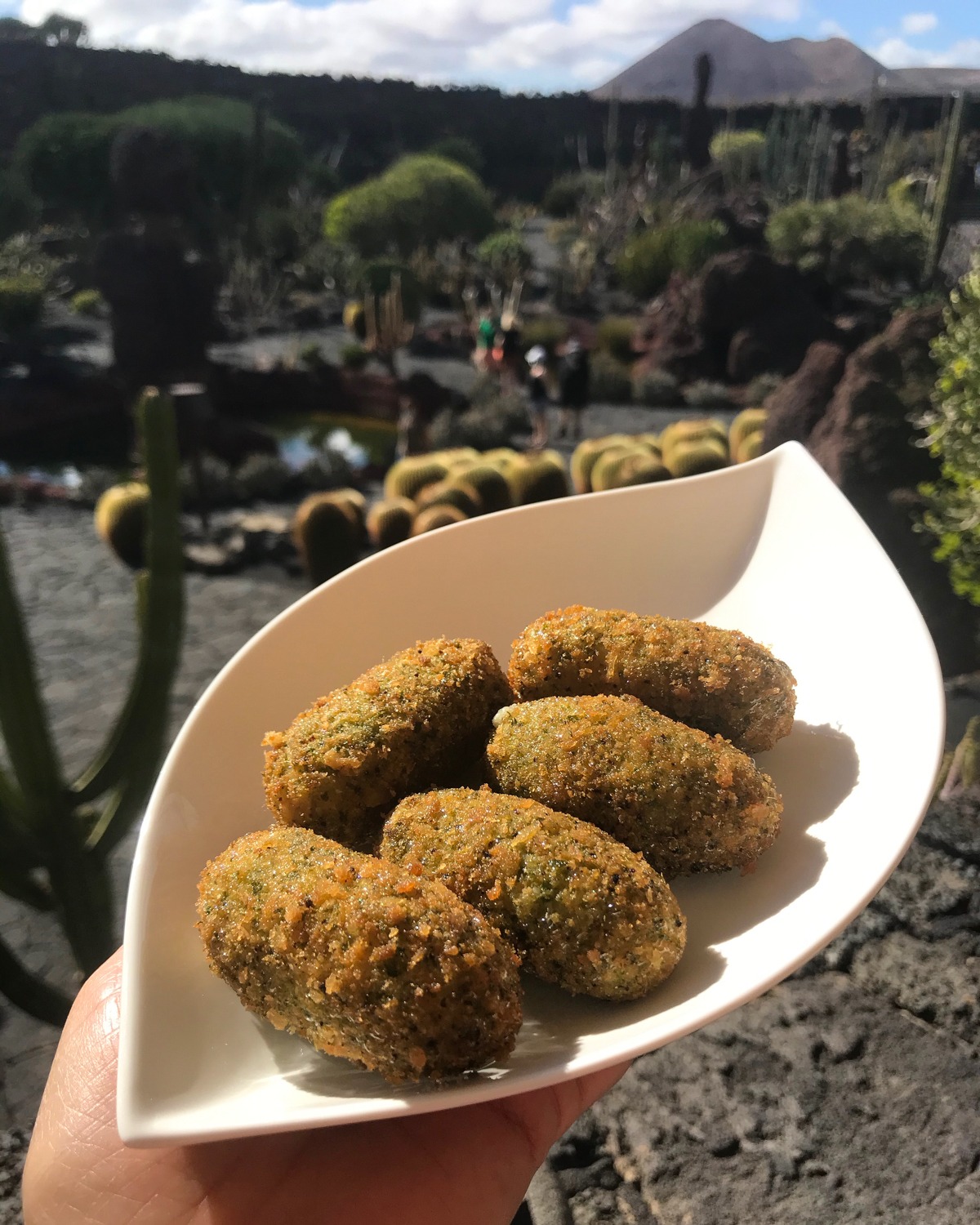 Cactus fritters in Lanzarote Photo Heatheronhertravels.com