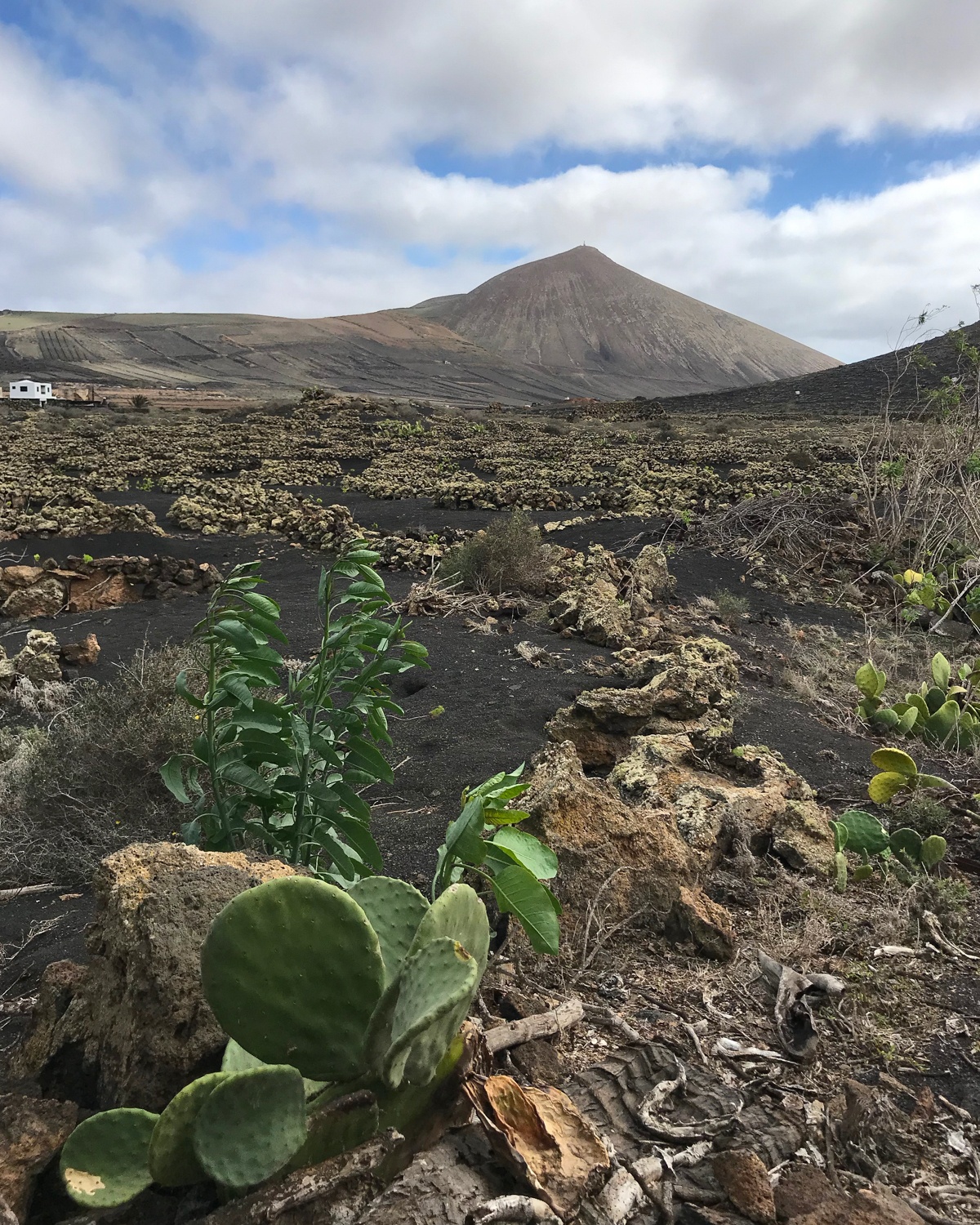 Finca Malvasia in Lanzarote Photo Heatheronhertravels.com