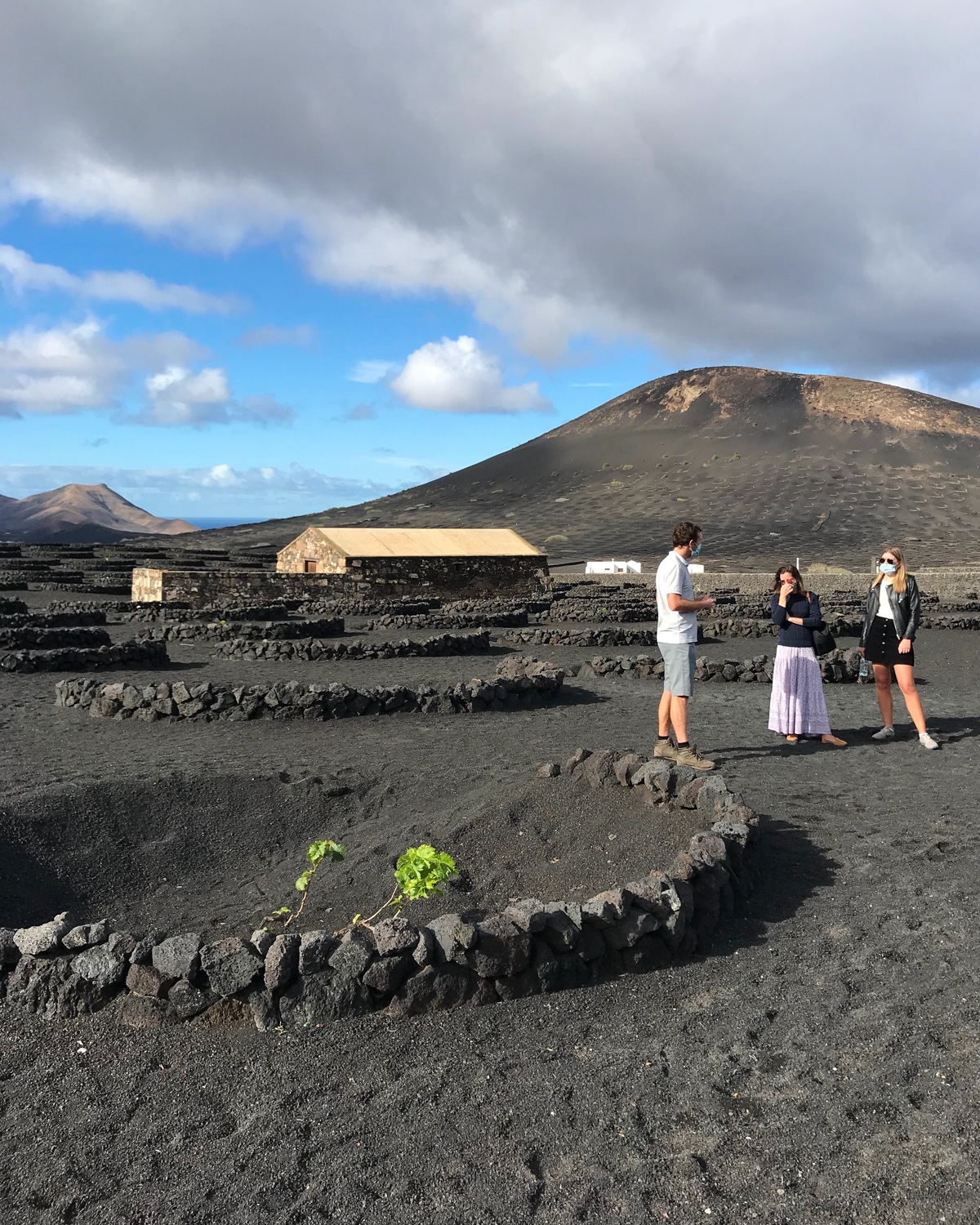 Wine tours Lanzarote Photo Heatheronhertravels.com