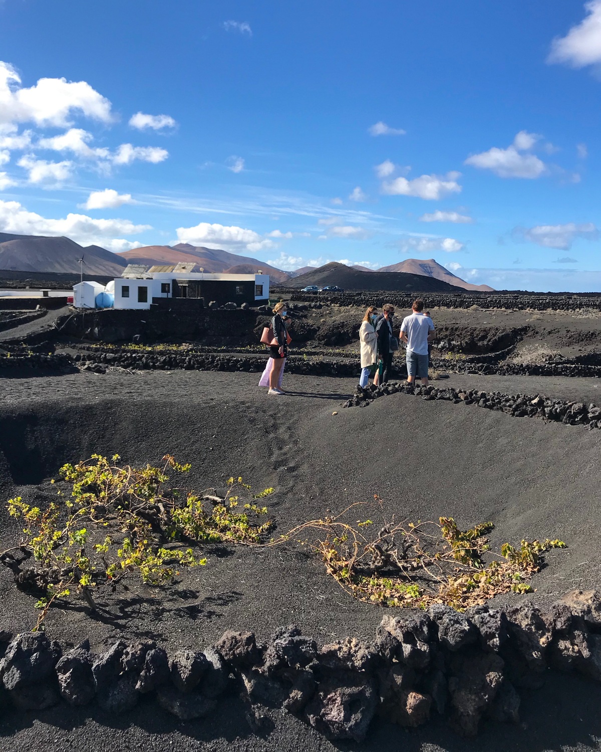 Bodega Rubicon winery in Lanzarote Photo Heatheronhertravels.com