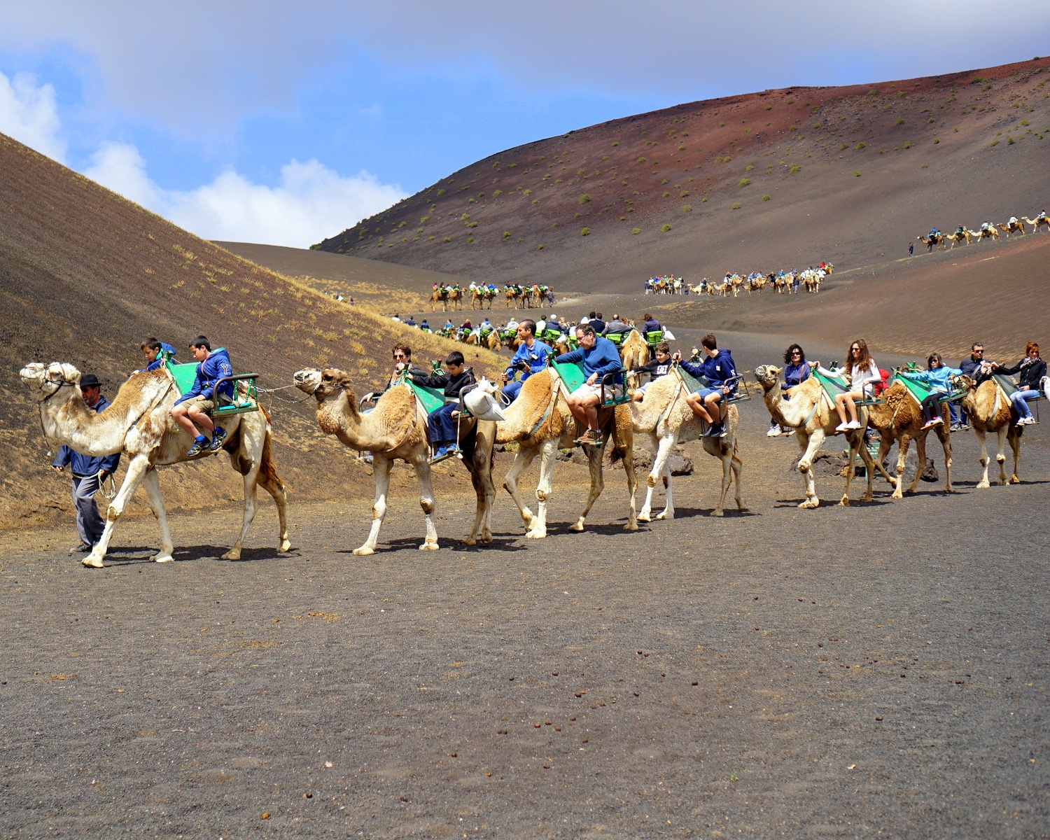 Camels in Timanfaya National Park Lanzarote Photo Iulian Ursu