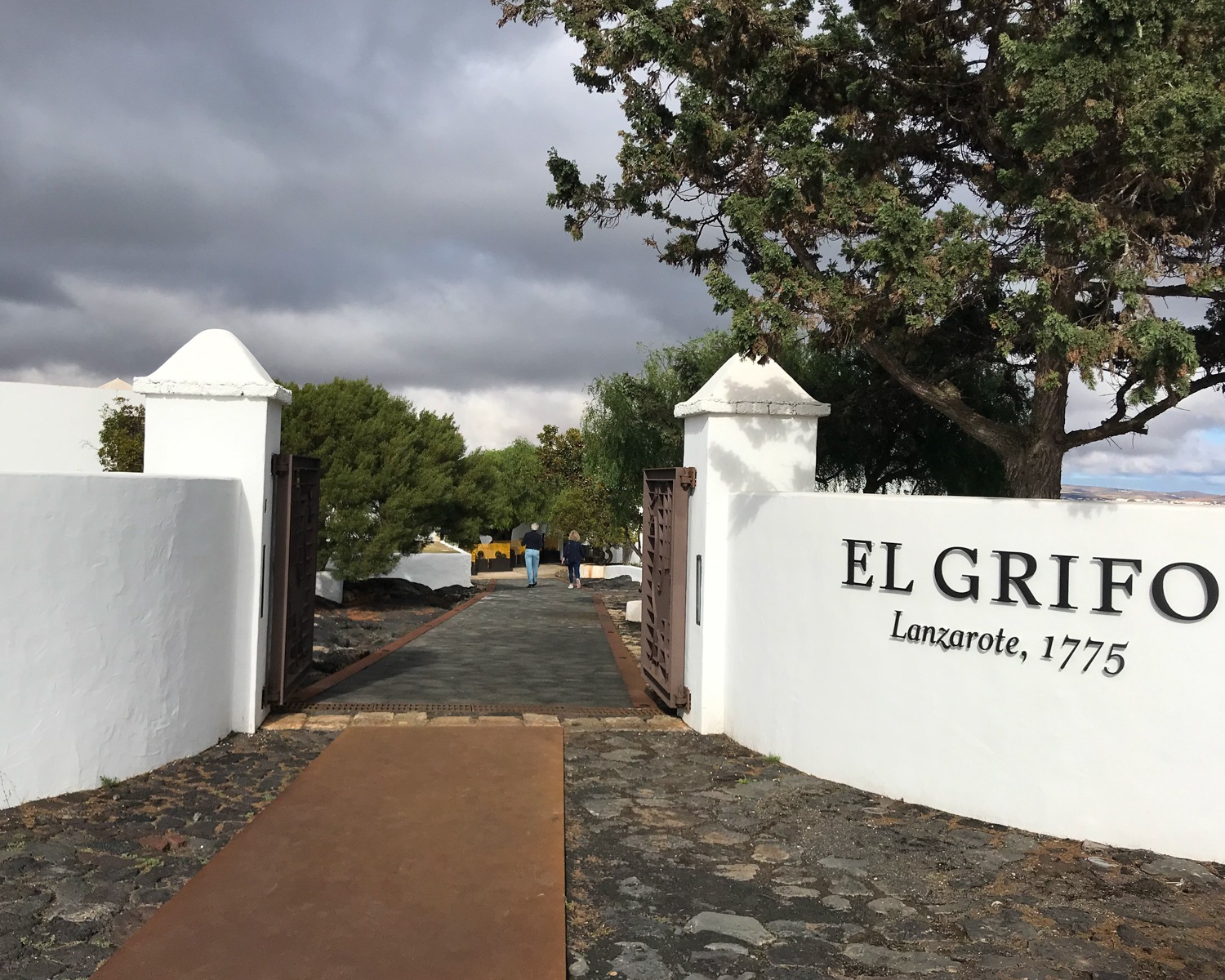 wine tour lanzarote