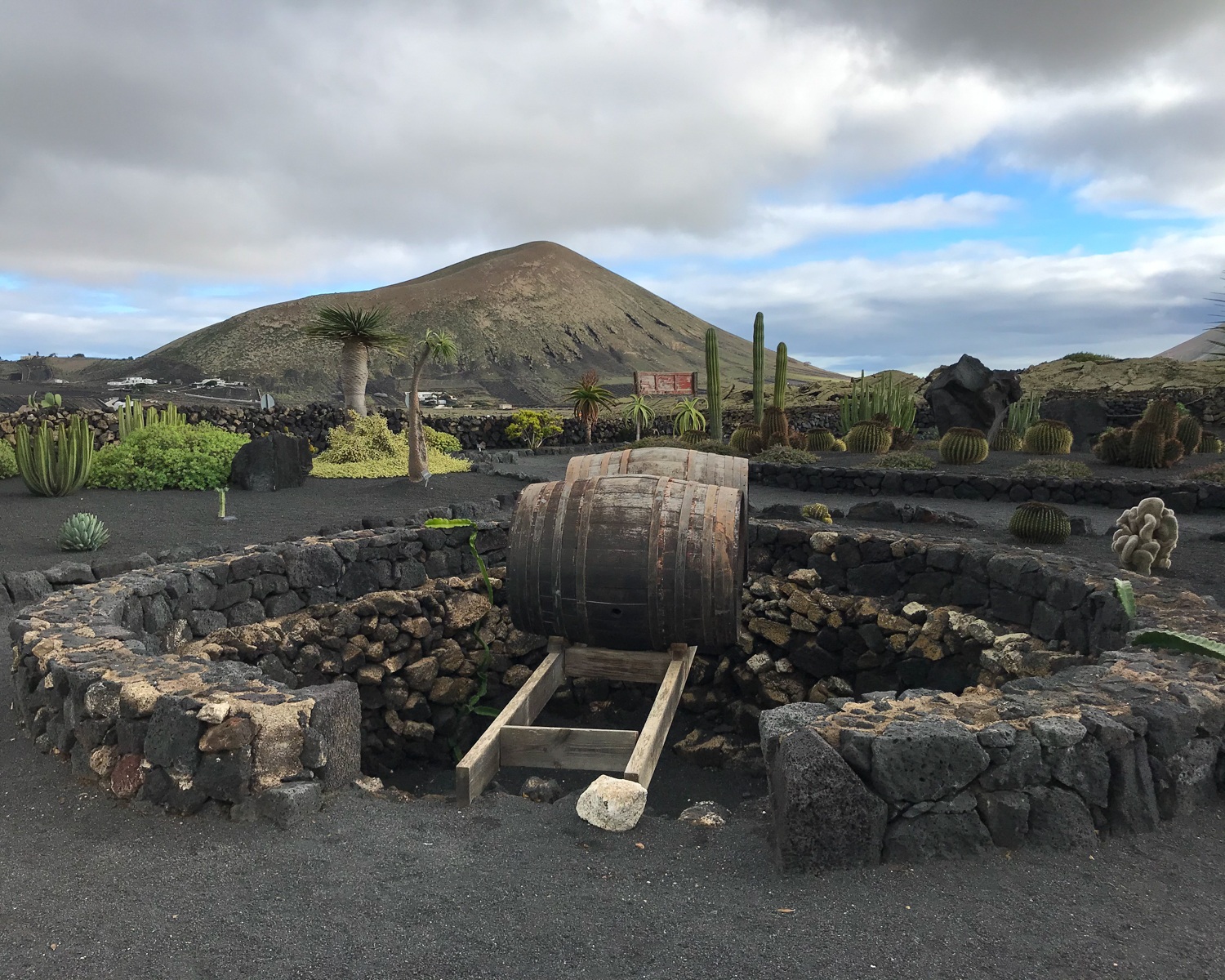 wine tour lanzarote