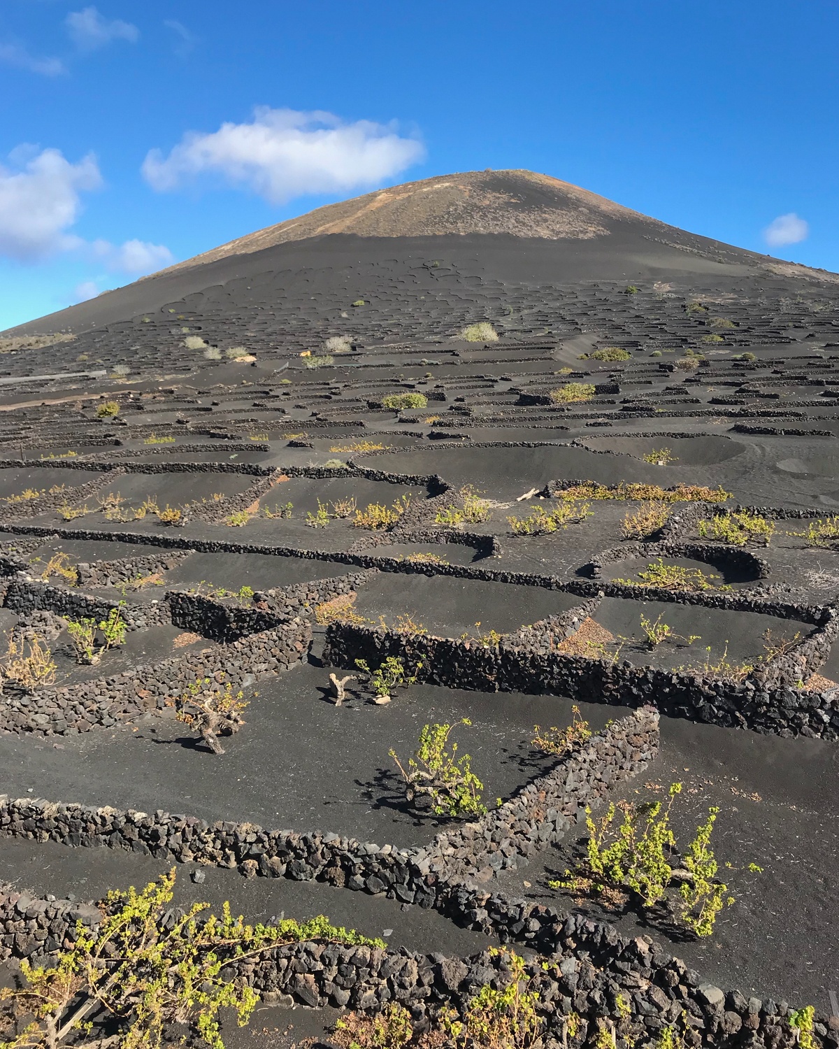 El Tablero winery in Lanzarote Photo Heatheronhertravels.com