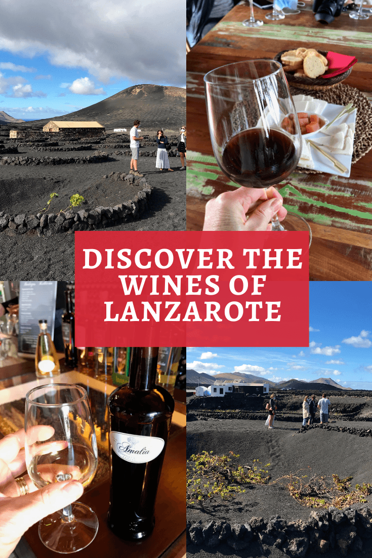 Discover the wines of Lanzarote
