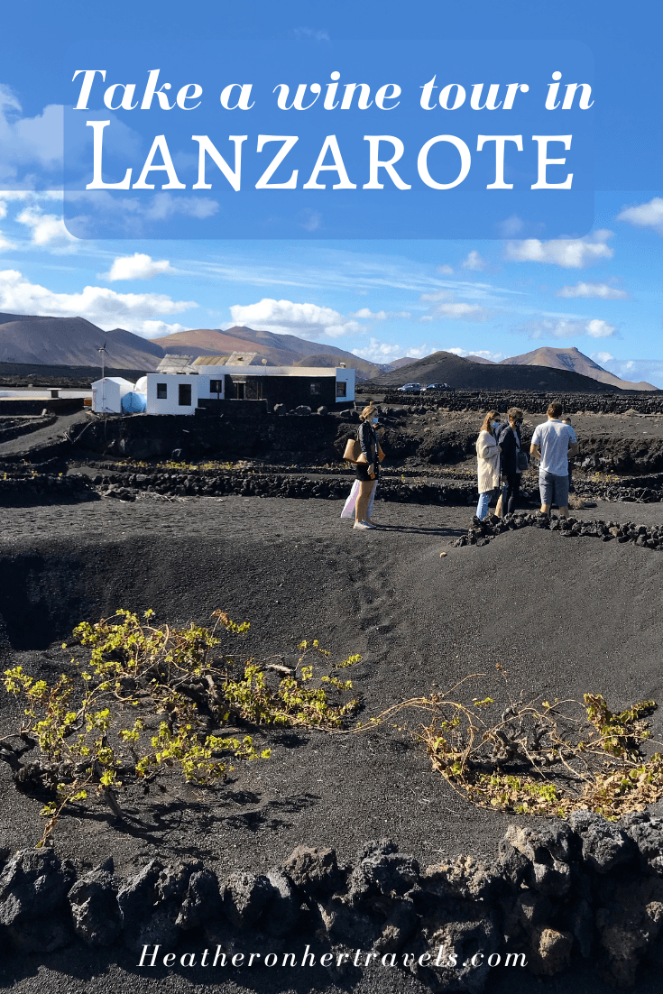 Lanzarote wines and vineyards