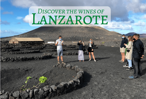 Discover the wines of Lanzarote