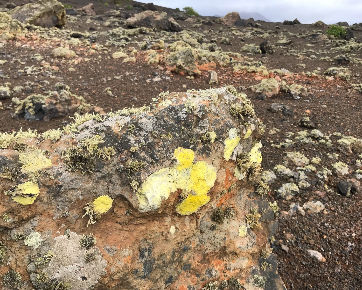 volcano trip lanzarote