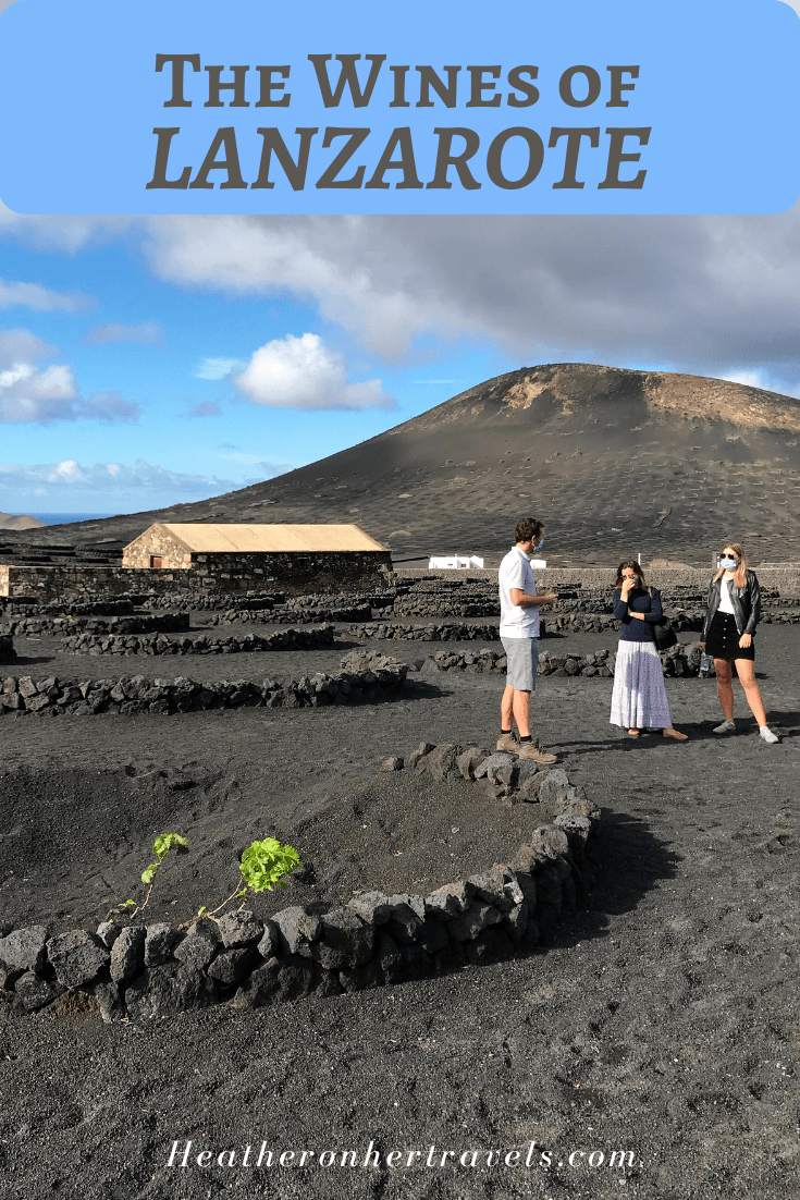 Discover the wines of Lanzarote