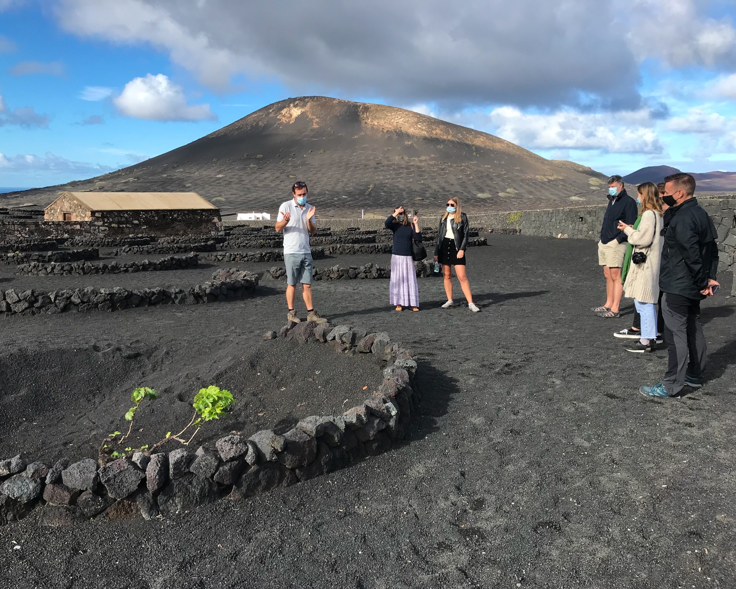 Wine tours Lanzarote Photo Heatheronhertravels.com