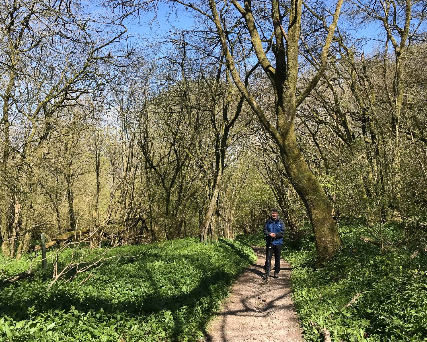 Dyrham Wood - Cotswold Way Day 2 Photo Heatheronhertravels.com