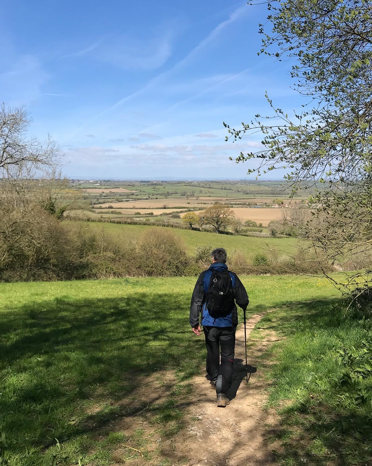 Dyrham Wood - Cotswold Way Day 2 Photo Heatheronhertravels.com