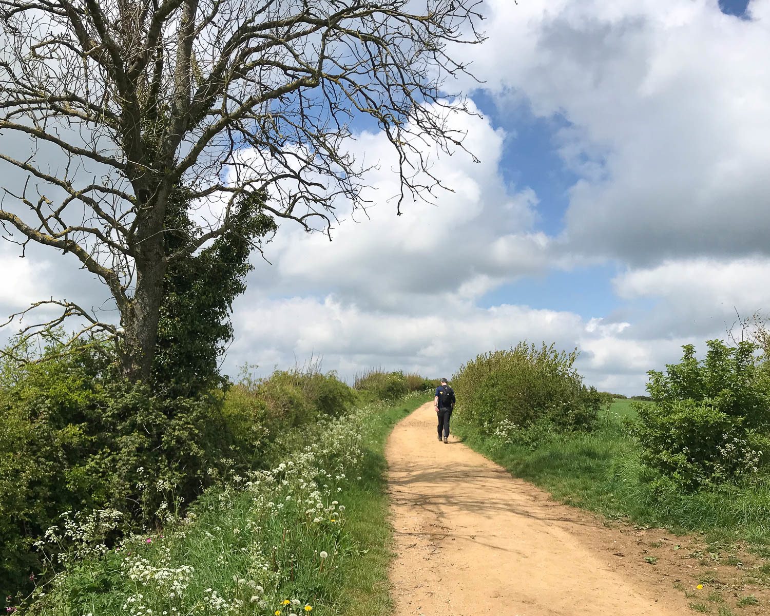 Walking near Hawkesbury Upton on the Cotswold Way