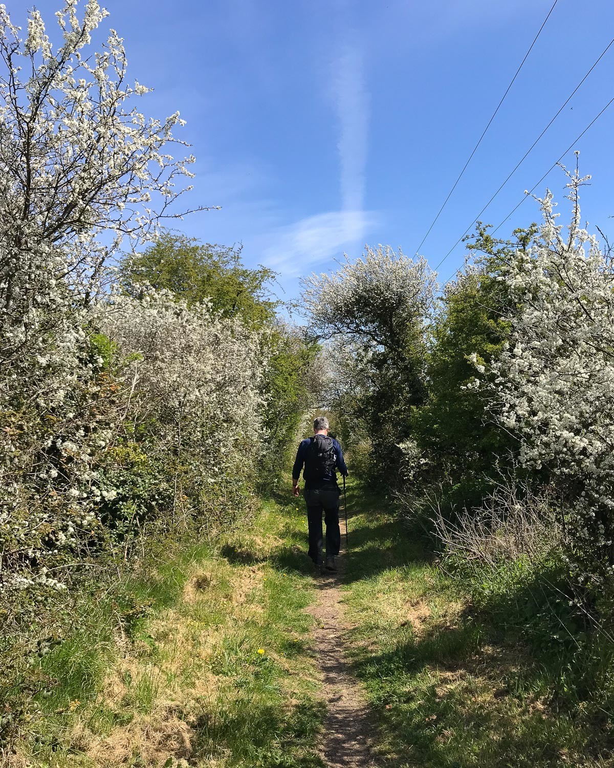 Tolldown - Cotswold Way Day 2 Photo Heatheronhertravels.com