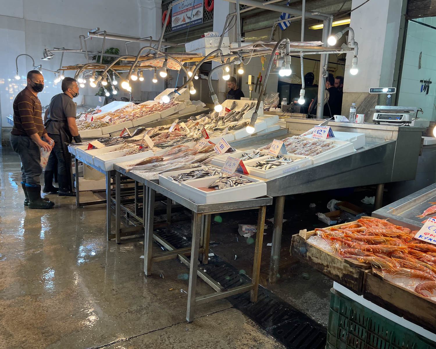 Fish at the Central Market Athens Photo Heatheronhertravels.com