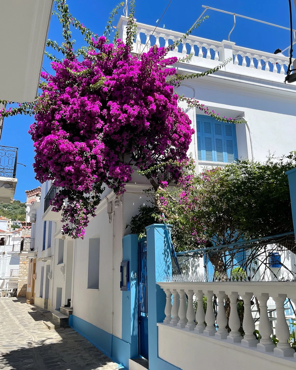 Skopelos Port Chora, Skopelos Greece Photo Heatheronhertravels.com