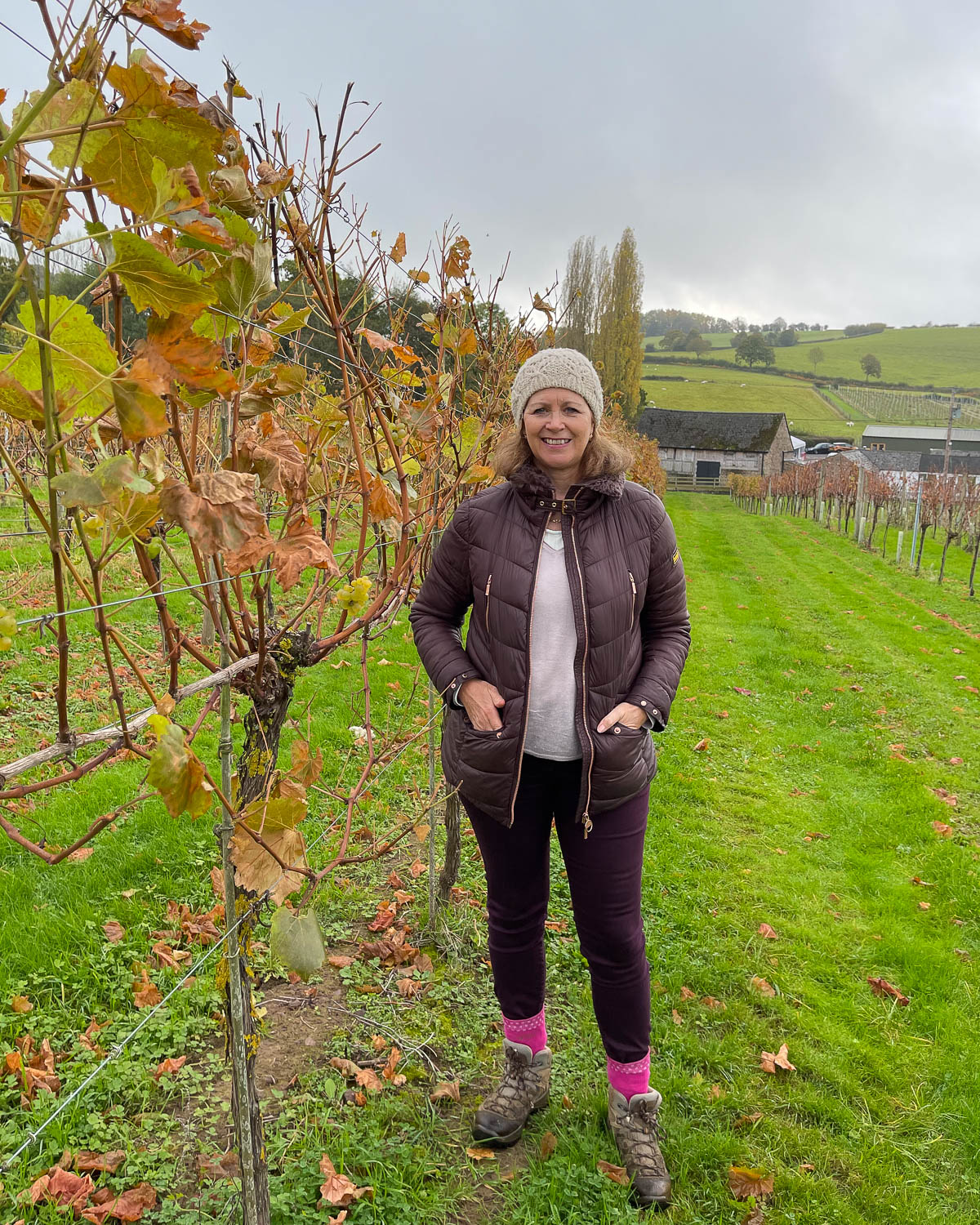 White Castle Vineyard Abergavenny Photo Heatheronhertravels.com