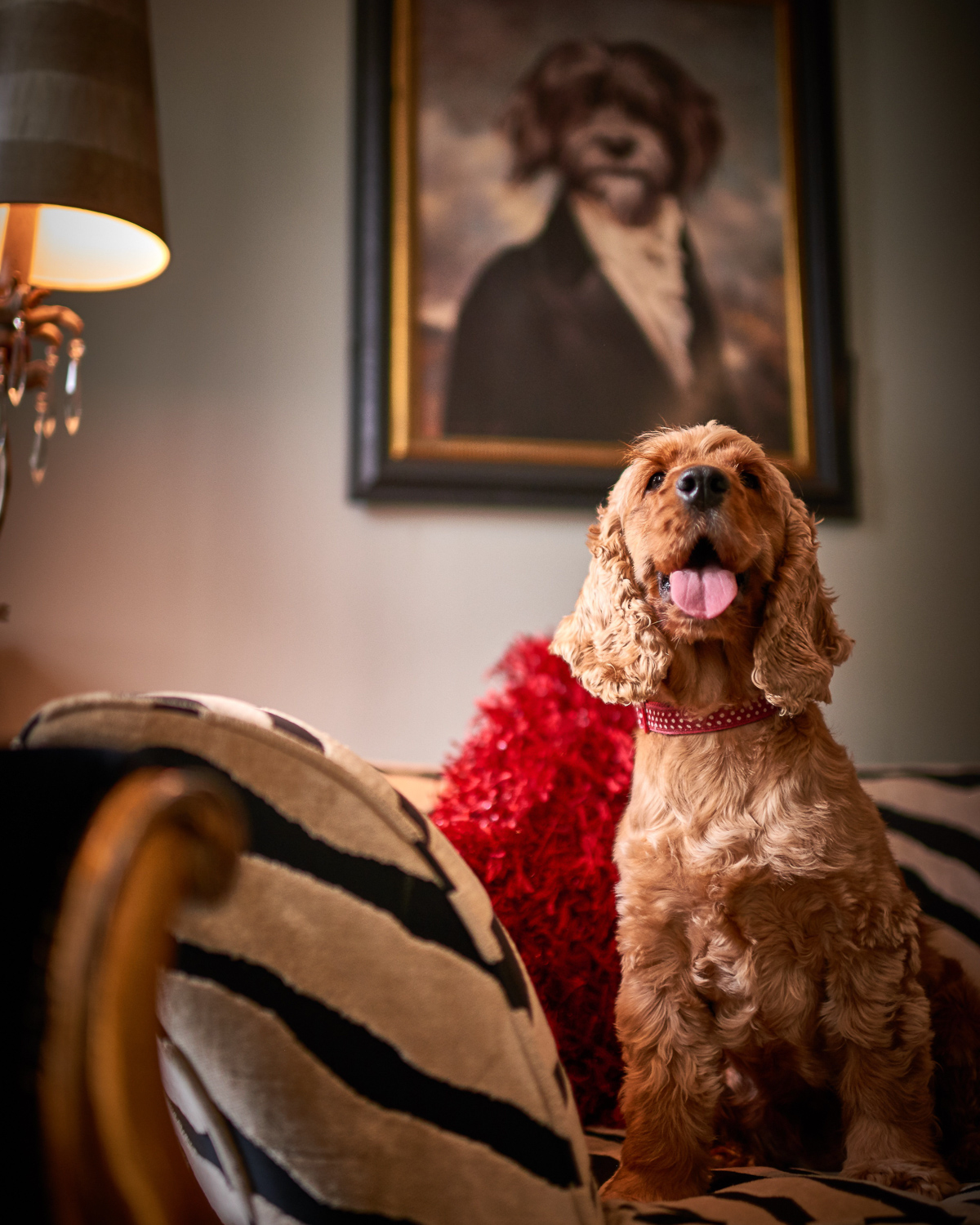 Dogs welcome at Talland Bay Hotel