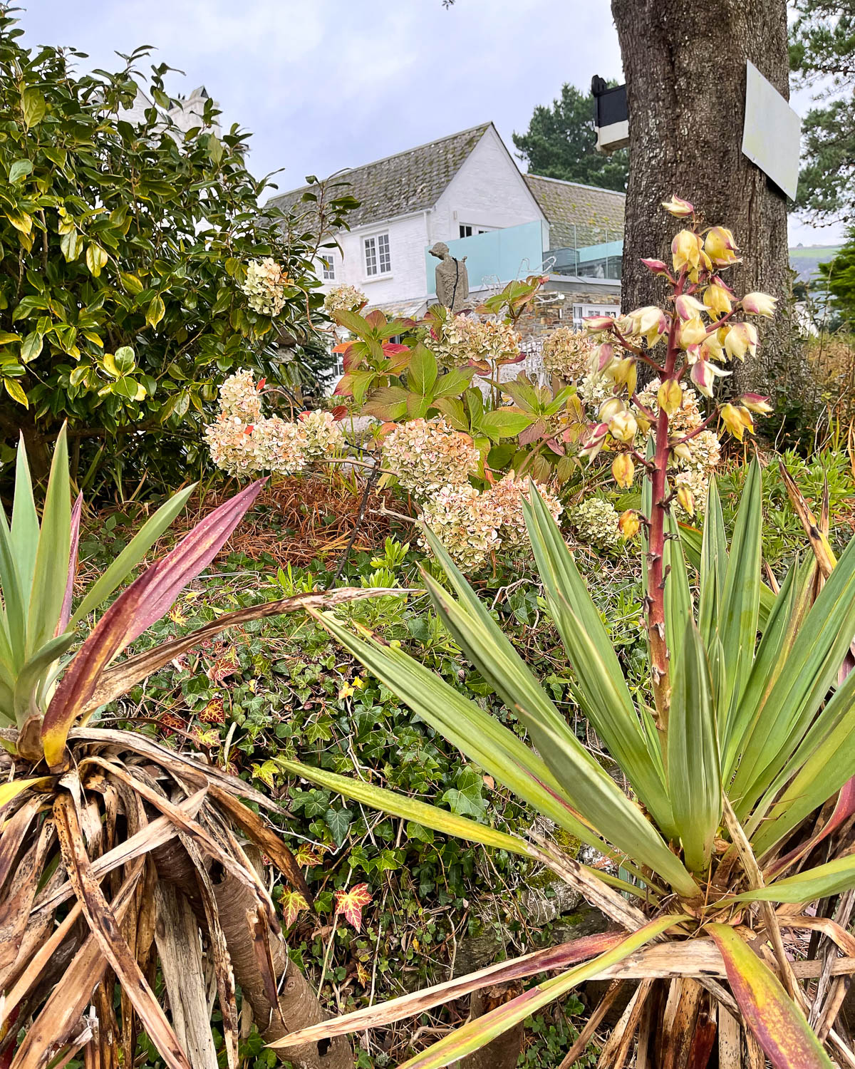 Gardens at Talland Bay Hotel in Cornwall Photo Heatheronhertravels.com