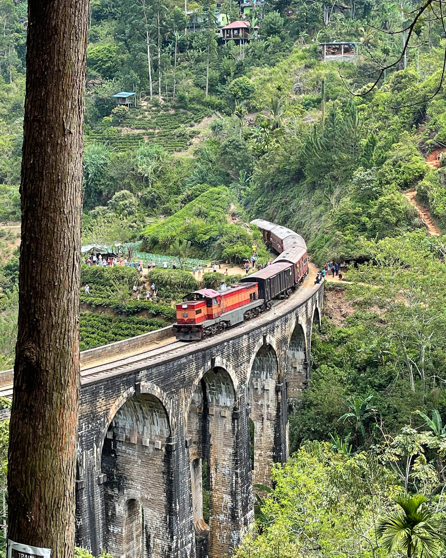 Train in Ella in Sri Lanka 