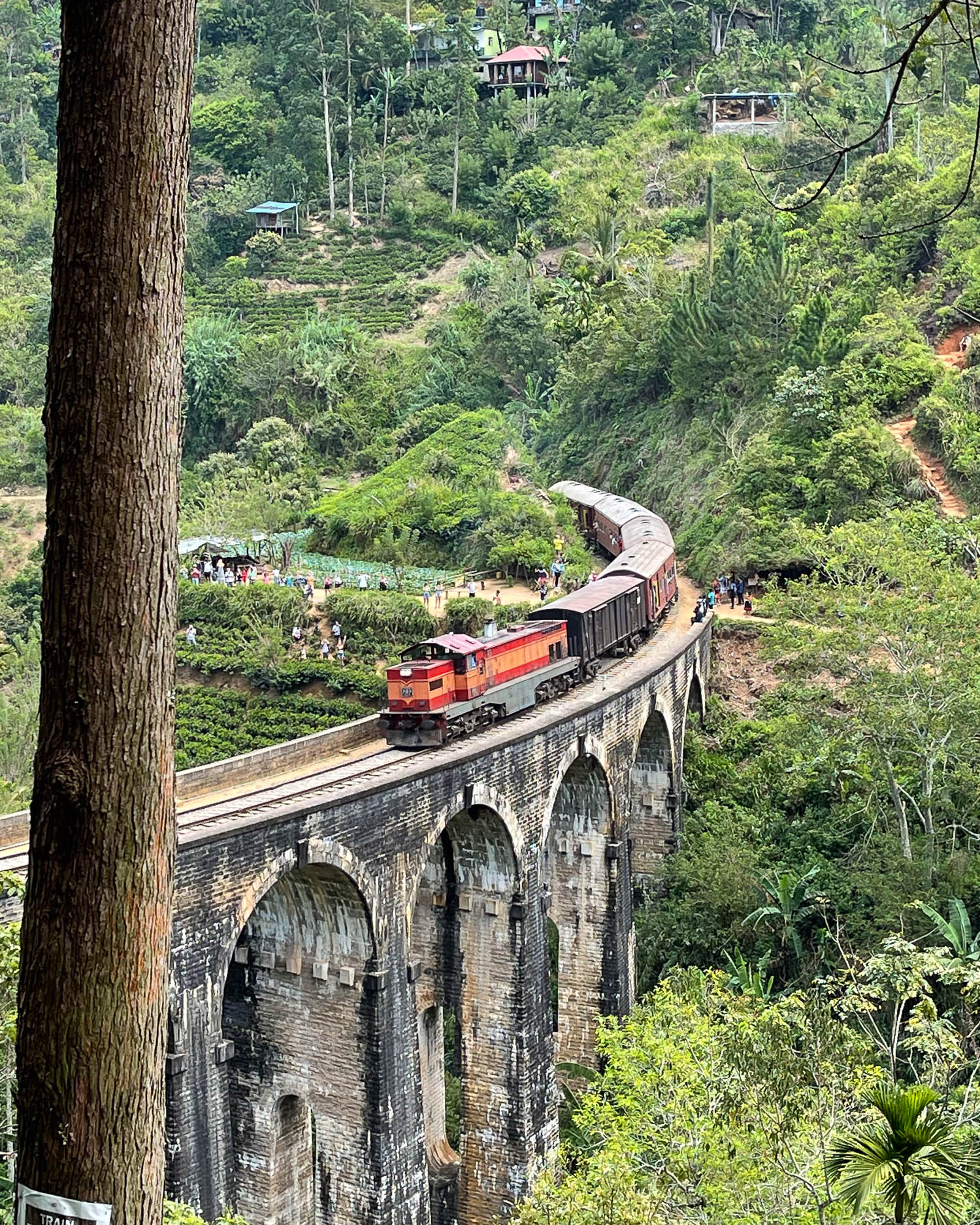 Flying Ravena zipwire in Ella in Sri Lanka Photo Heatheronhertravels.com