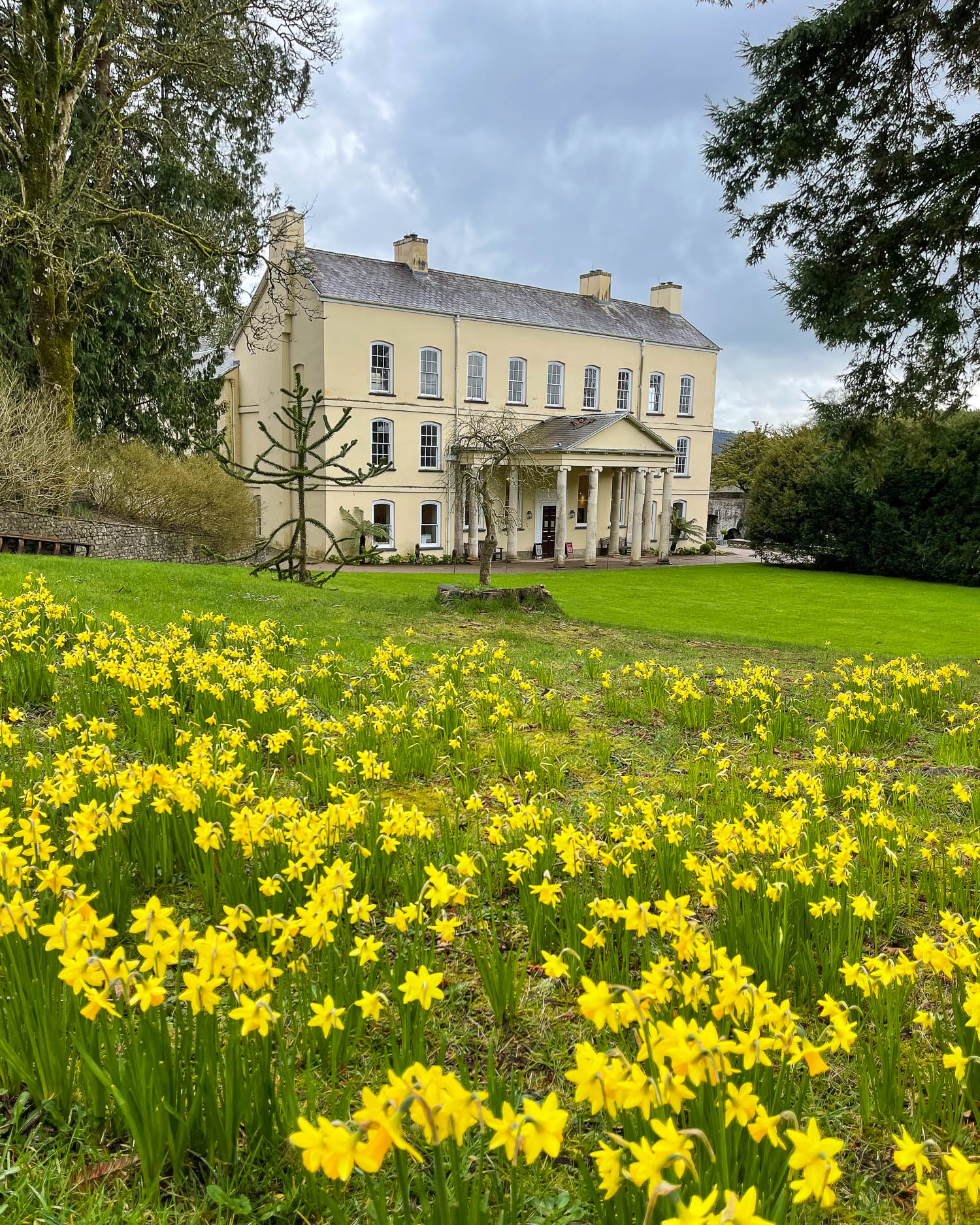 Aberglasney Gardens Carmarthenshire Photo Heatheronhertravels.com