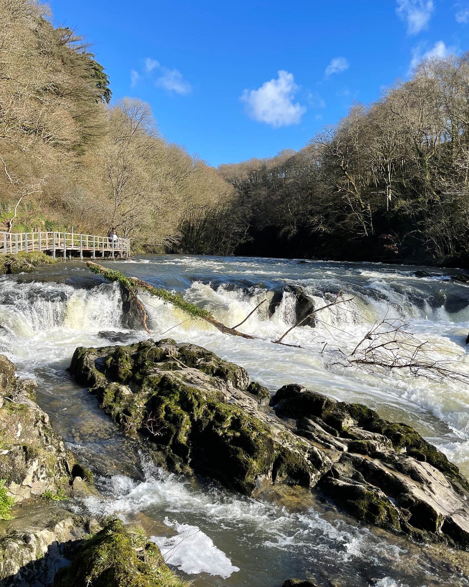 Cenarth Carmarthenshire Photo Heatheronhertravels.com