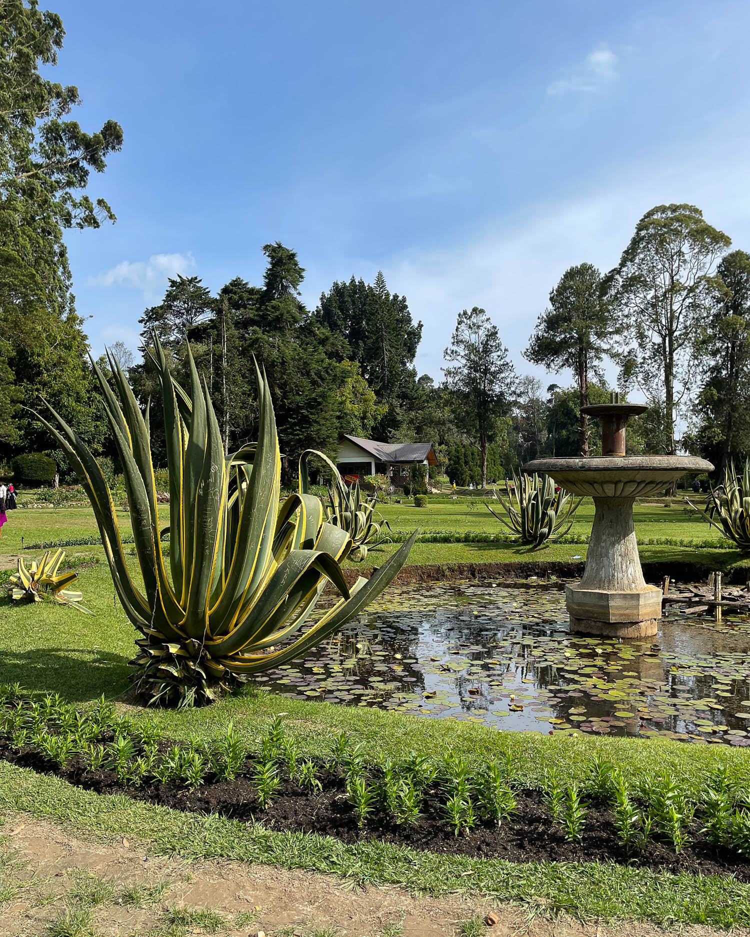 Victoria Gardens in Nuwara Eliya Photo Heatheronhertravels.com