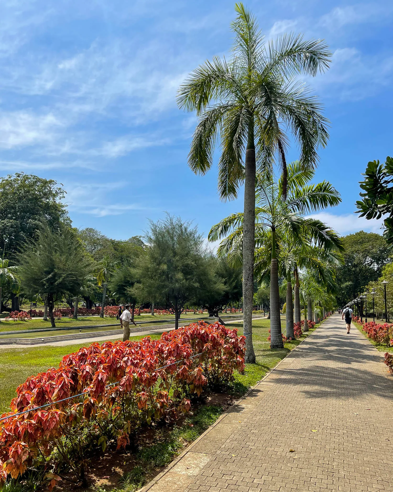 Sri Lanka 2 week Itinerary - Vihara Mahadevi Park Colombo Sri Lanka Photo Heatheronhertravels.com