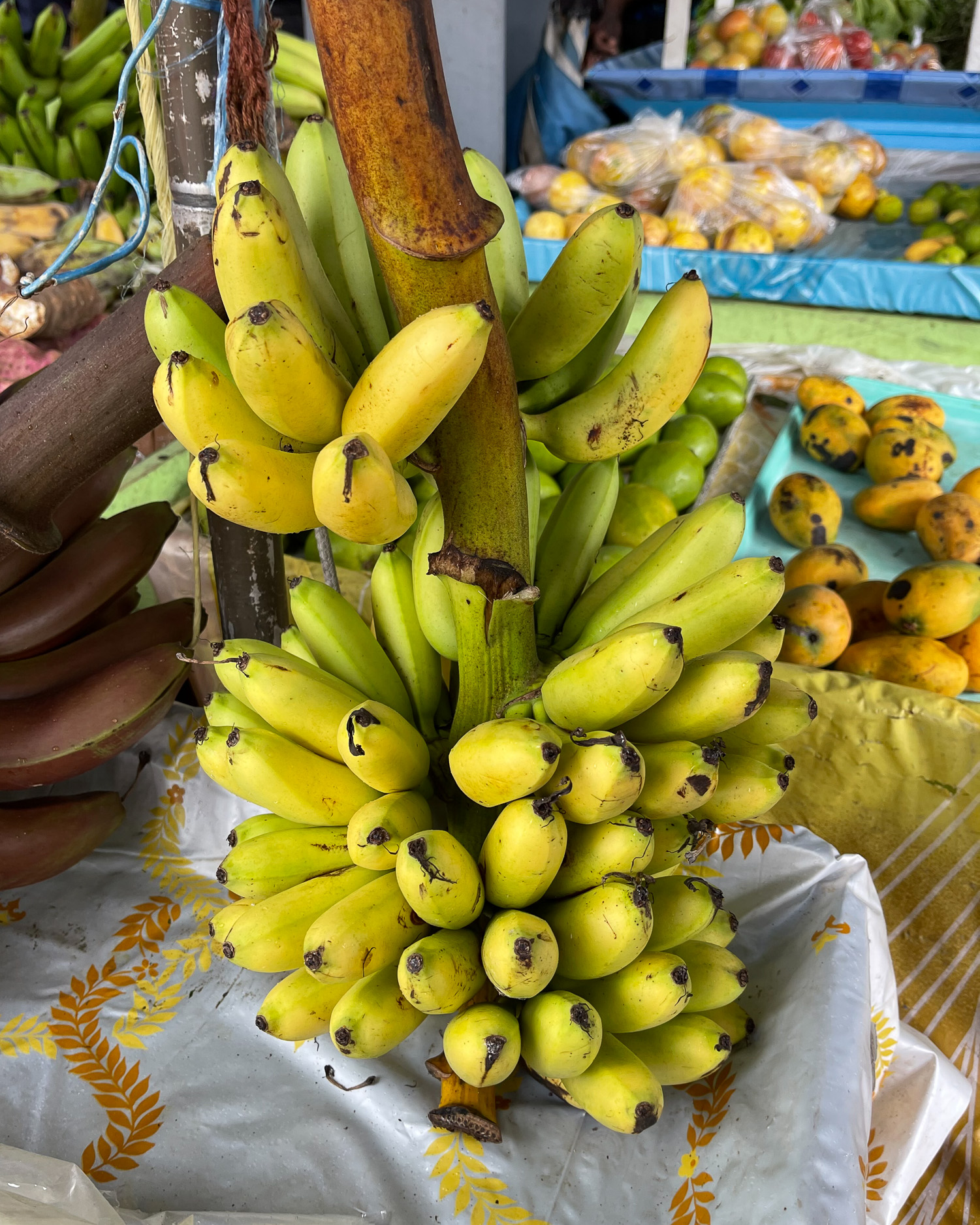 Bananas in Saint Lucia Castries Market Photo Heatheronhertravels.com