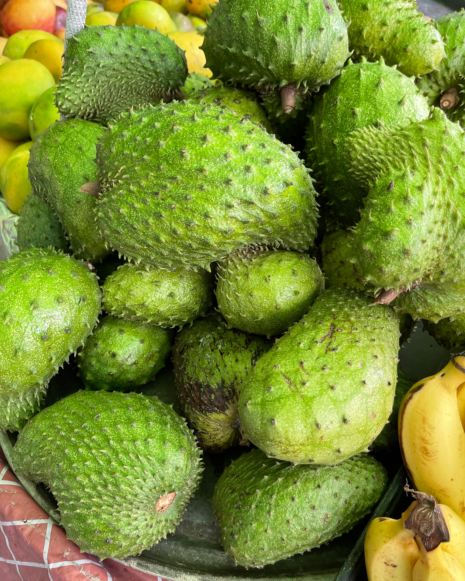 Breadfruit in Saint Lucia Photo Heatheronhertravels.com