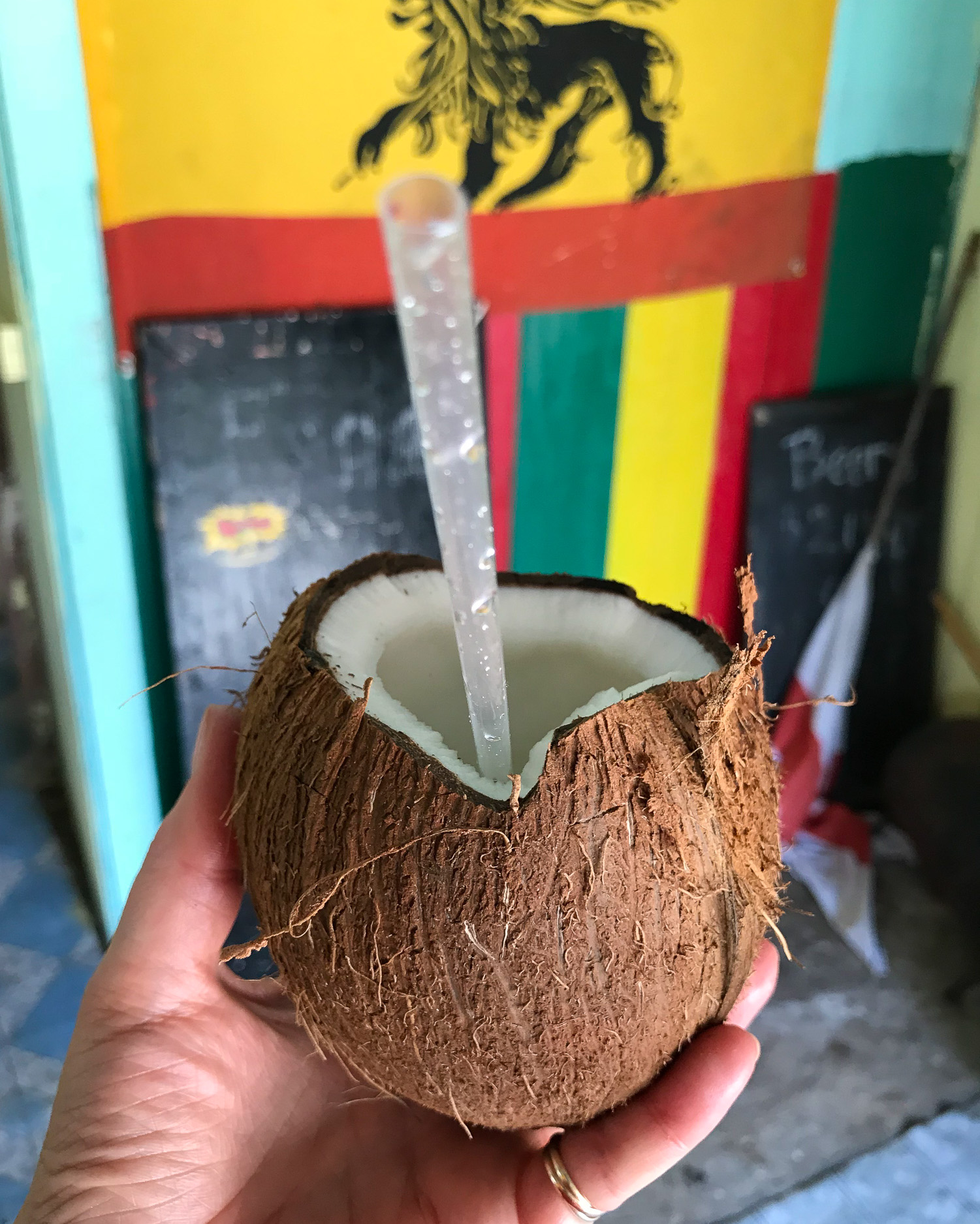 Coconut in Marigot Bay Saint Lucia Photo Heatheronhertravels.com