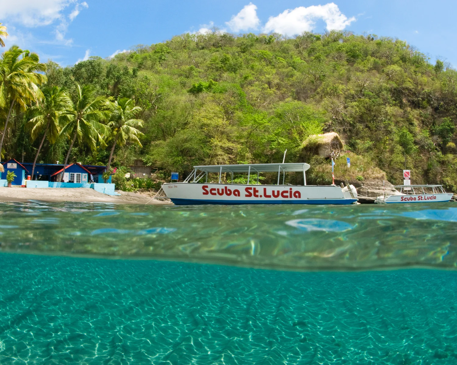 Dive St Lucia Anse Chastanet