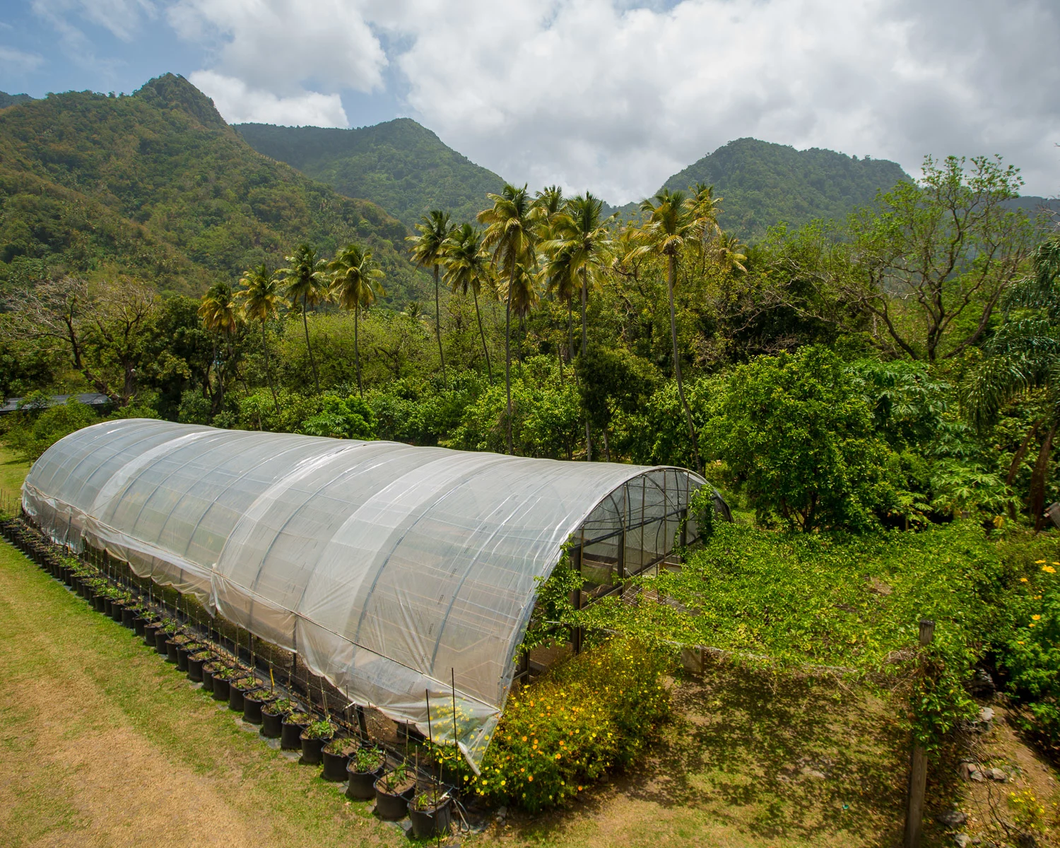 Emerald Farm Anse Chastanet St Lucia