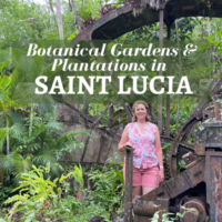 Gardens and Plantations in St Lucia