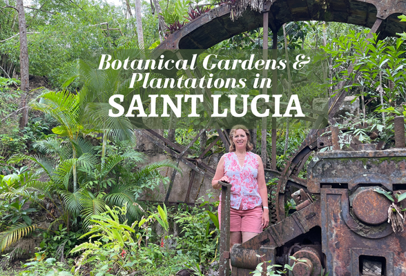 St Lucia Botanical gardens and plantations to visit