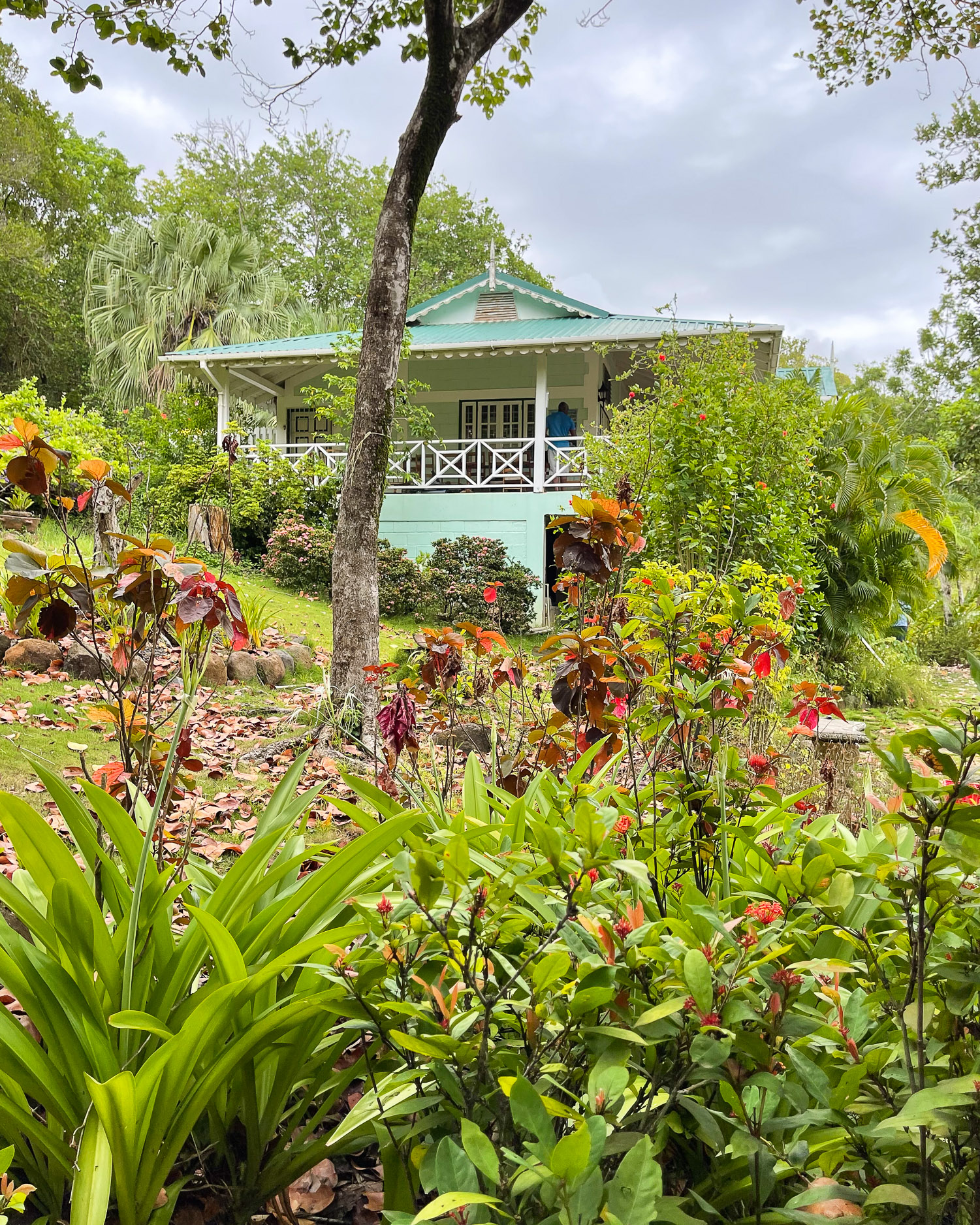 Mamiku Gardens St Lucia Photo Heatheronhertravels.com