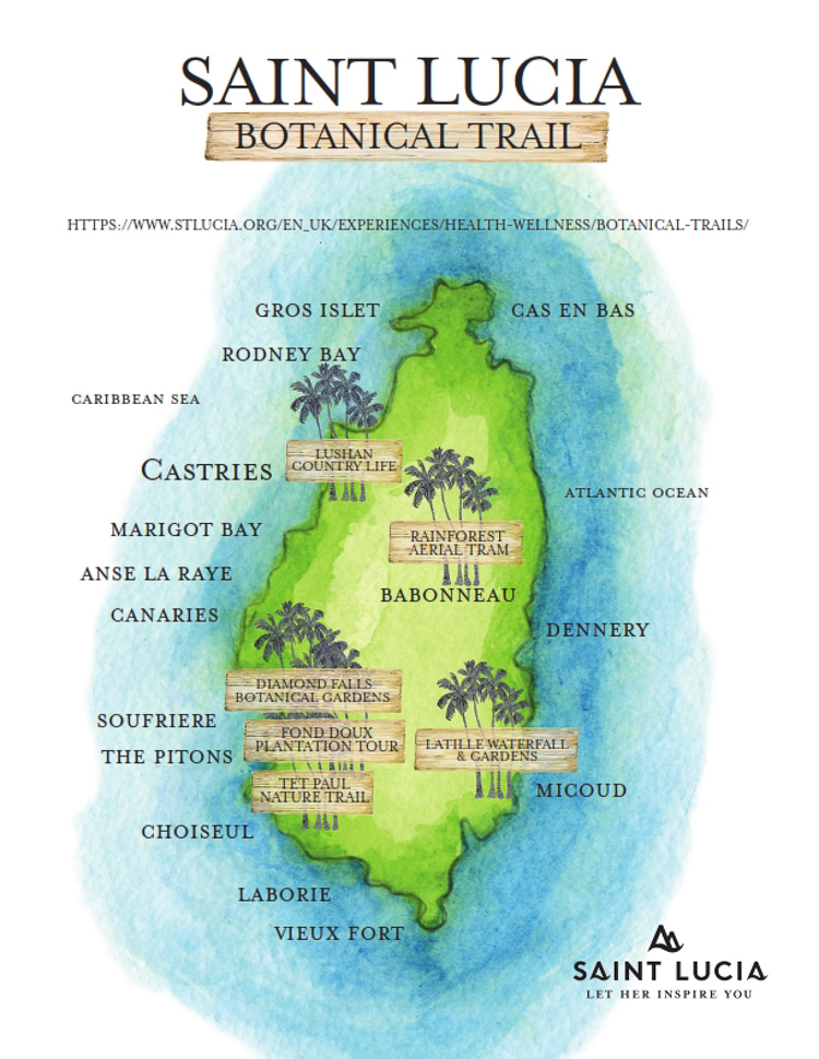 Saint Lucia Botanical Trail-