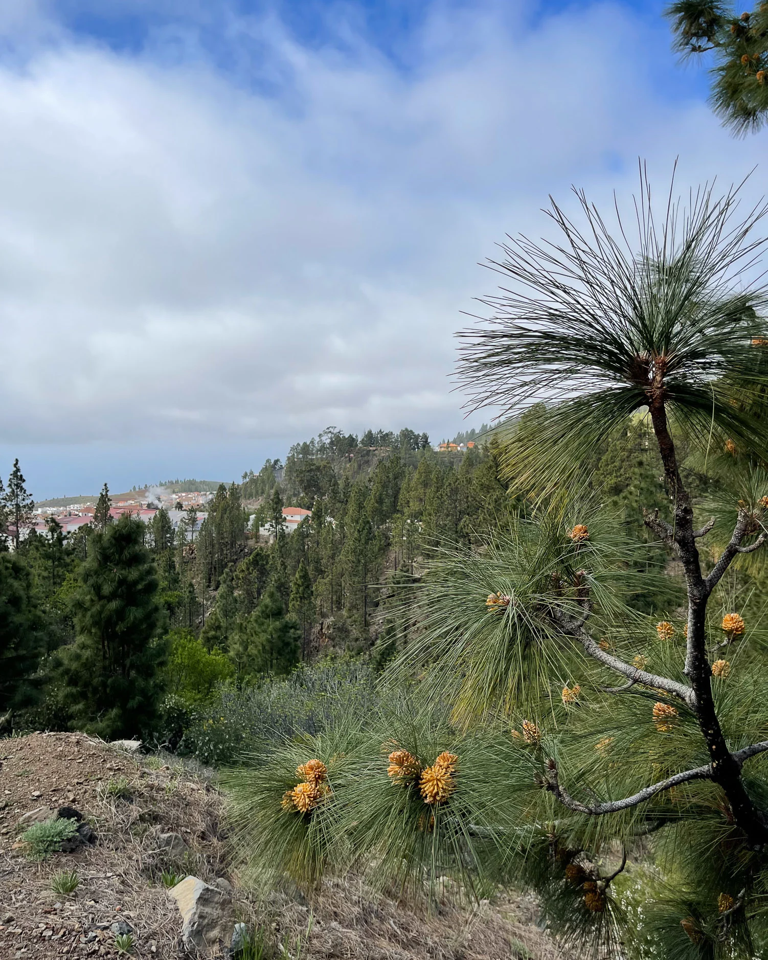 Road up to Teide National Park Tenerife Photo Heatheronhertravels.com