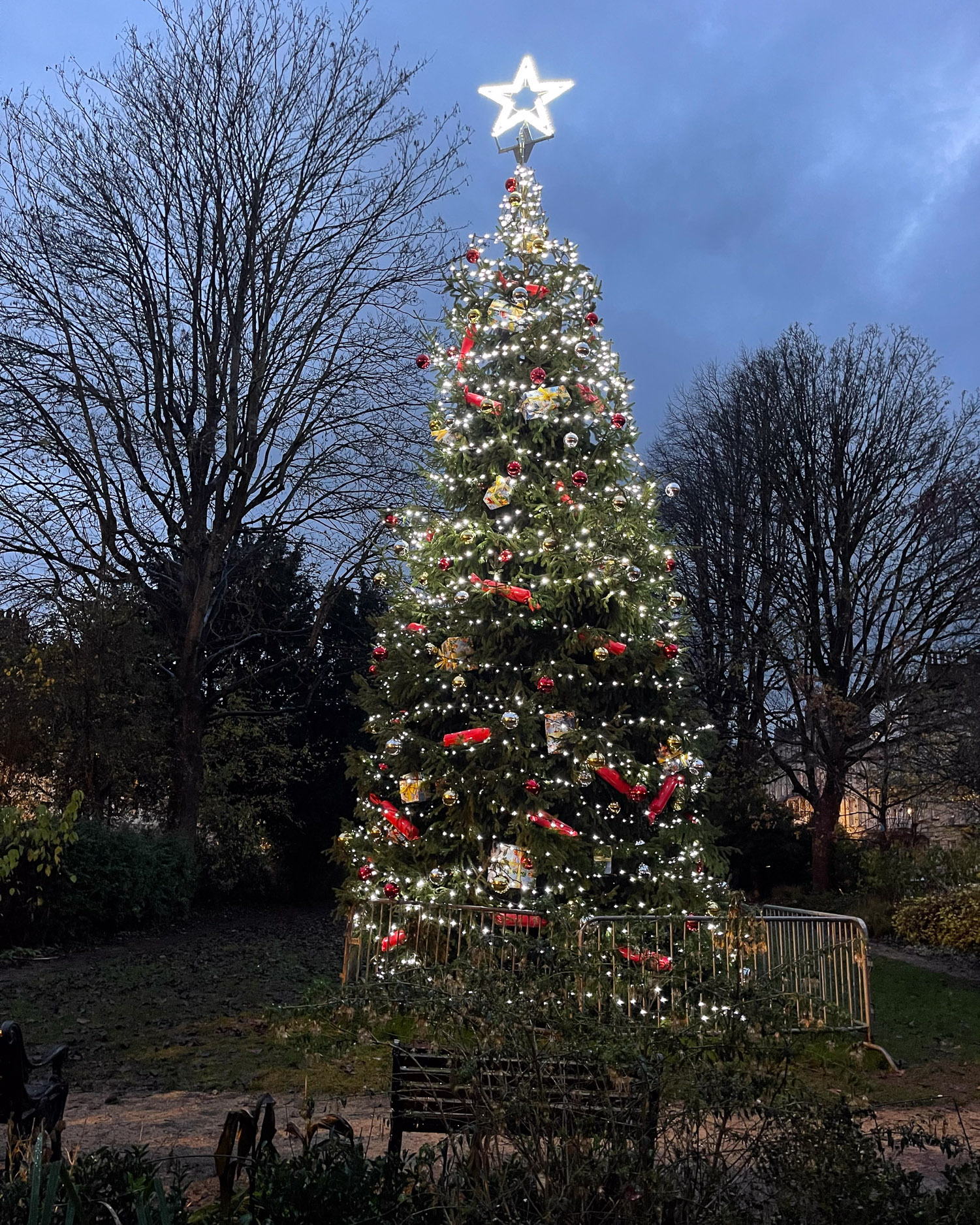 Christmas Tree The Mall Gardens Clifton Bristol