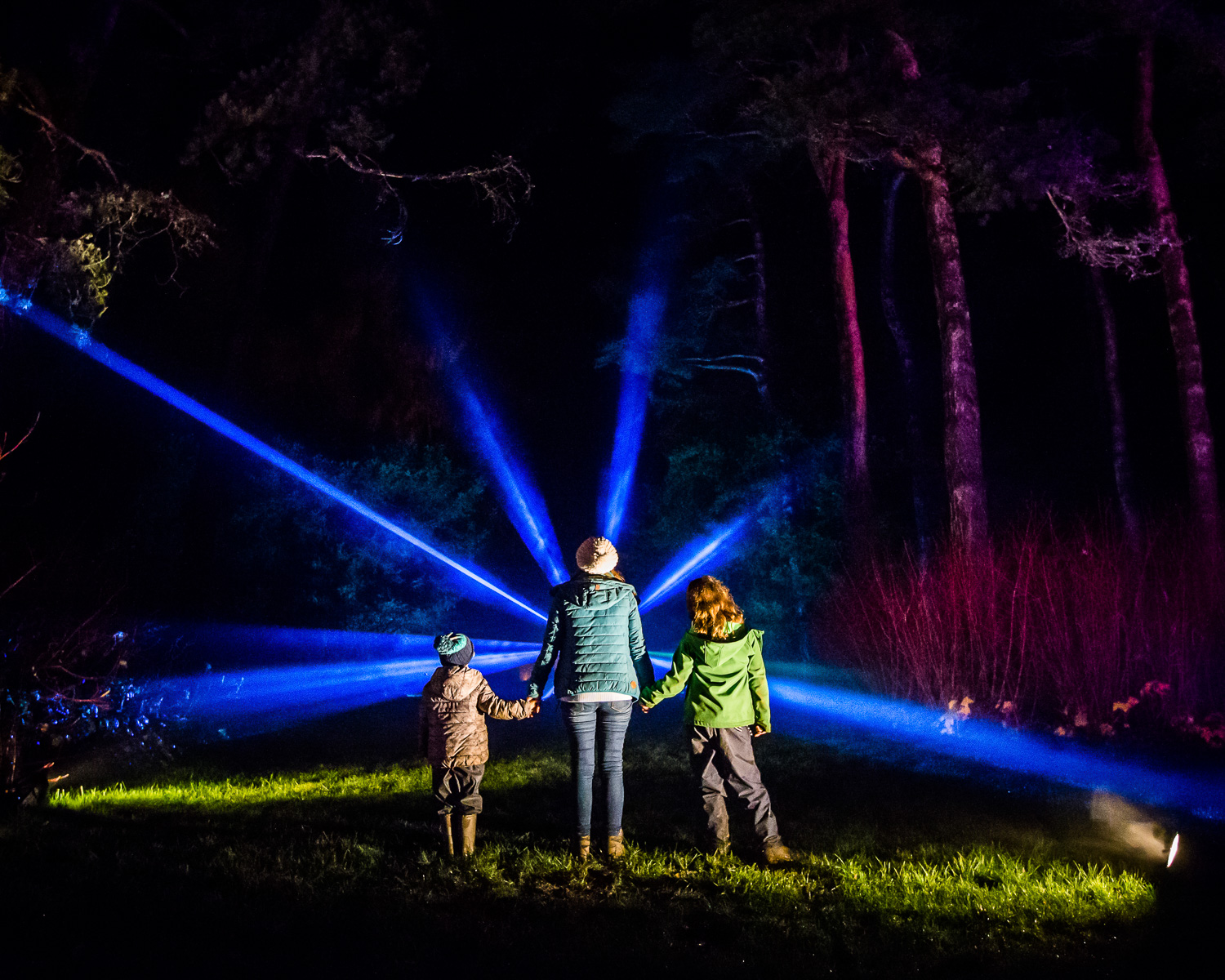 Westonbirt Enchanted Christmas Photo_ Johnny Hathaway