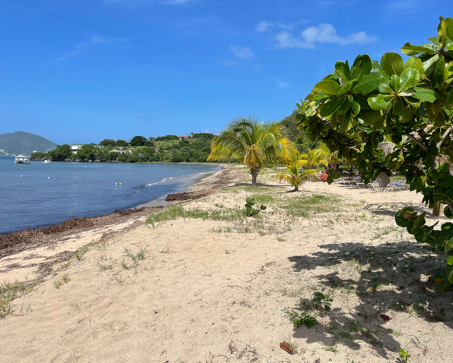 Oualie Beach Nevis Photo Heatheronhertravels.com