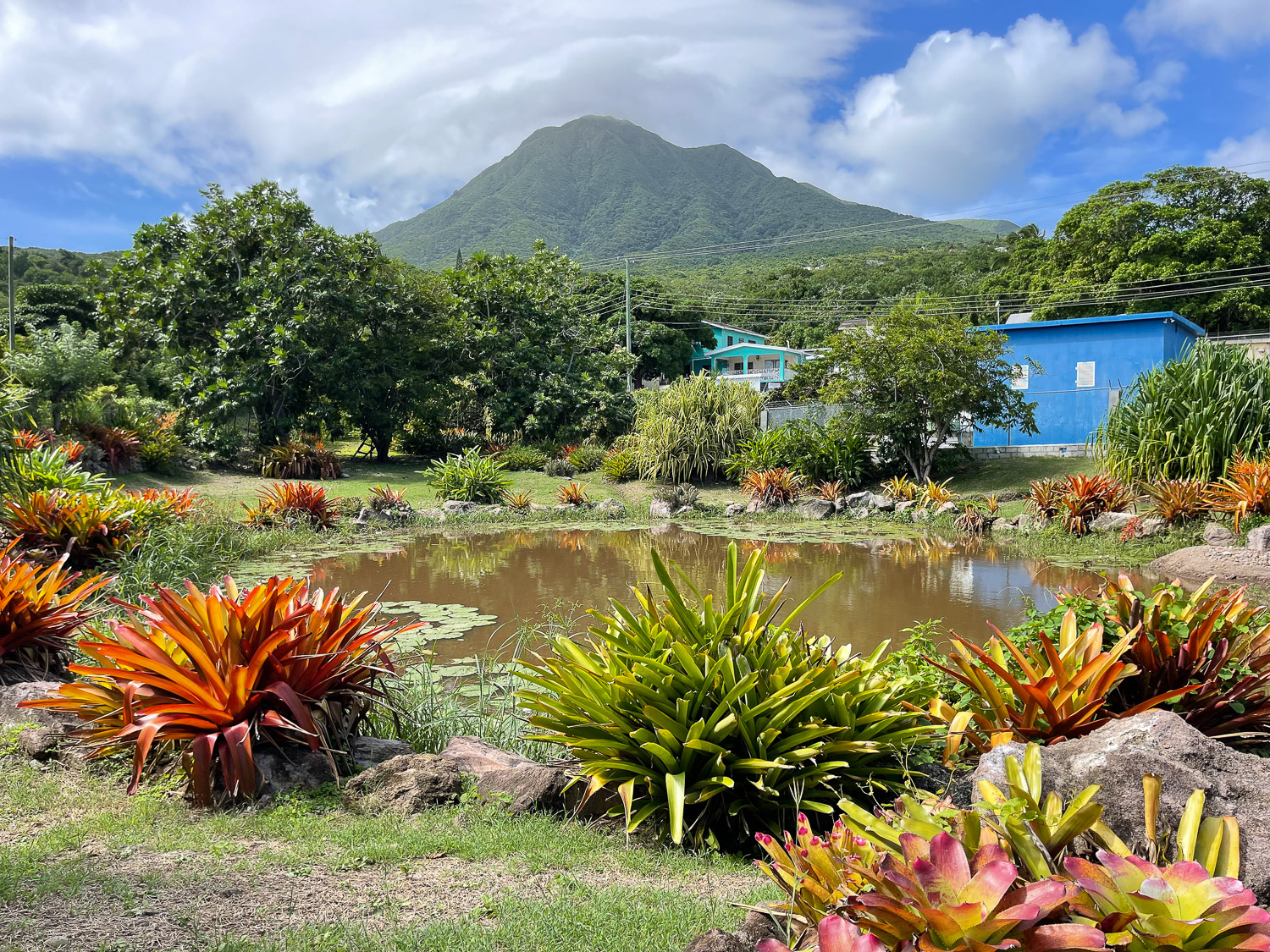 Things to do in Nevis Photo Heatheronhertravels.com