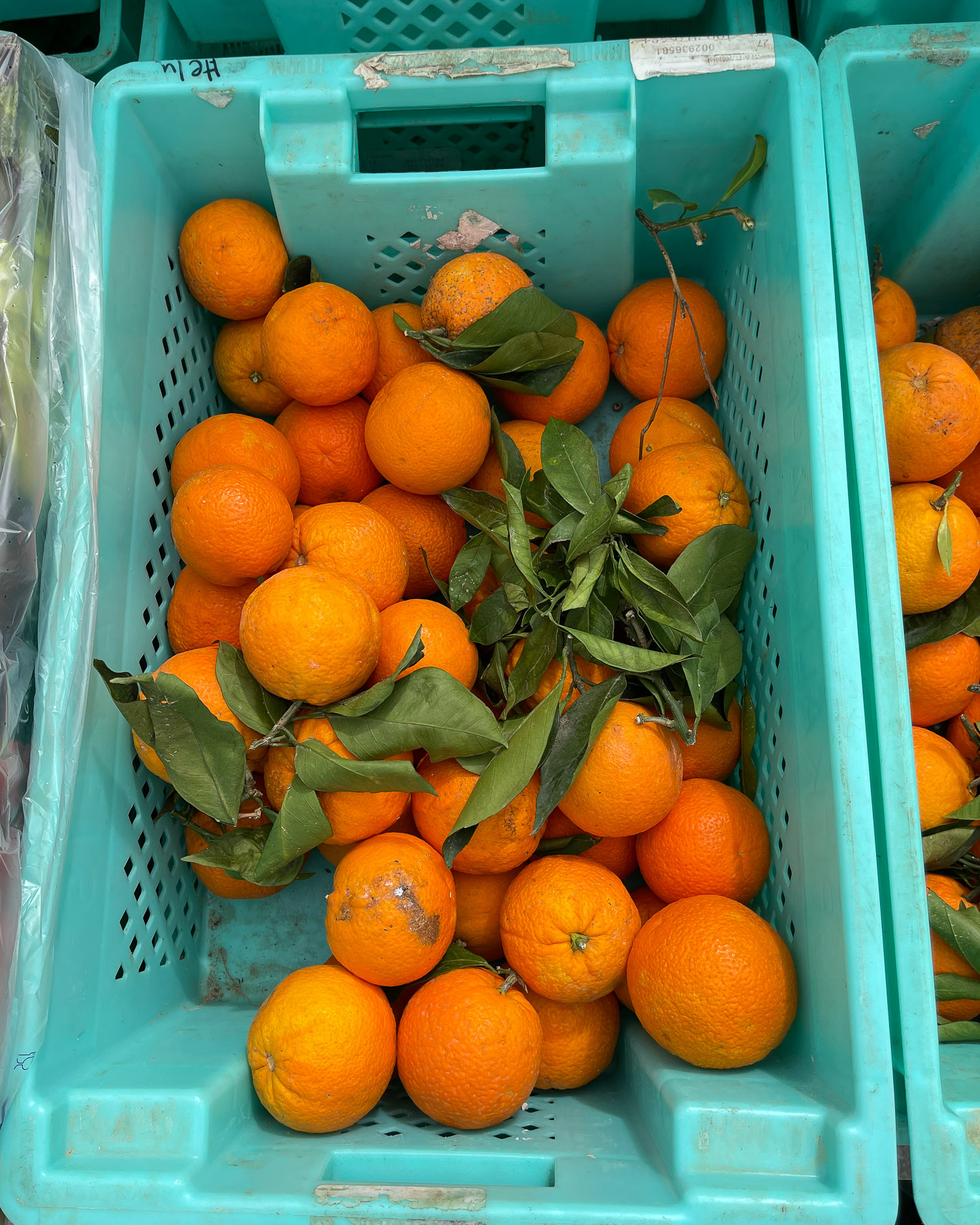 Oranges in Malta Photo Heatheronhertravels.com