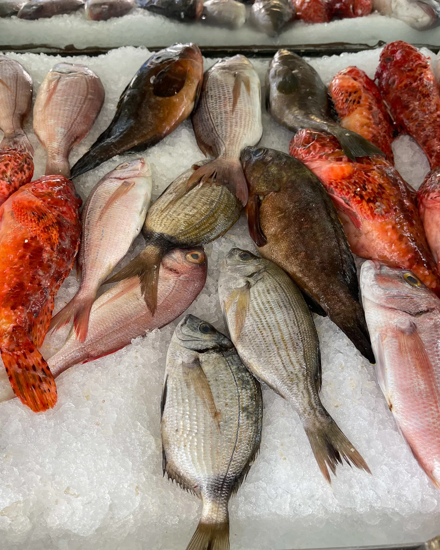 Fresh fish in Mani Peninsula Greece Photo Heatheronhertravels.com